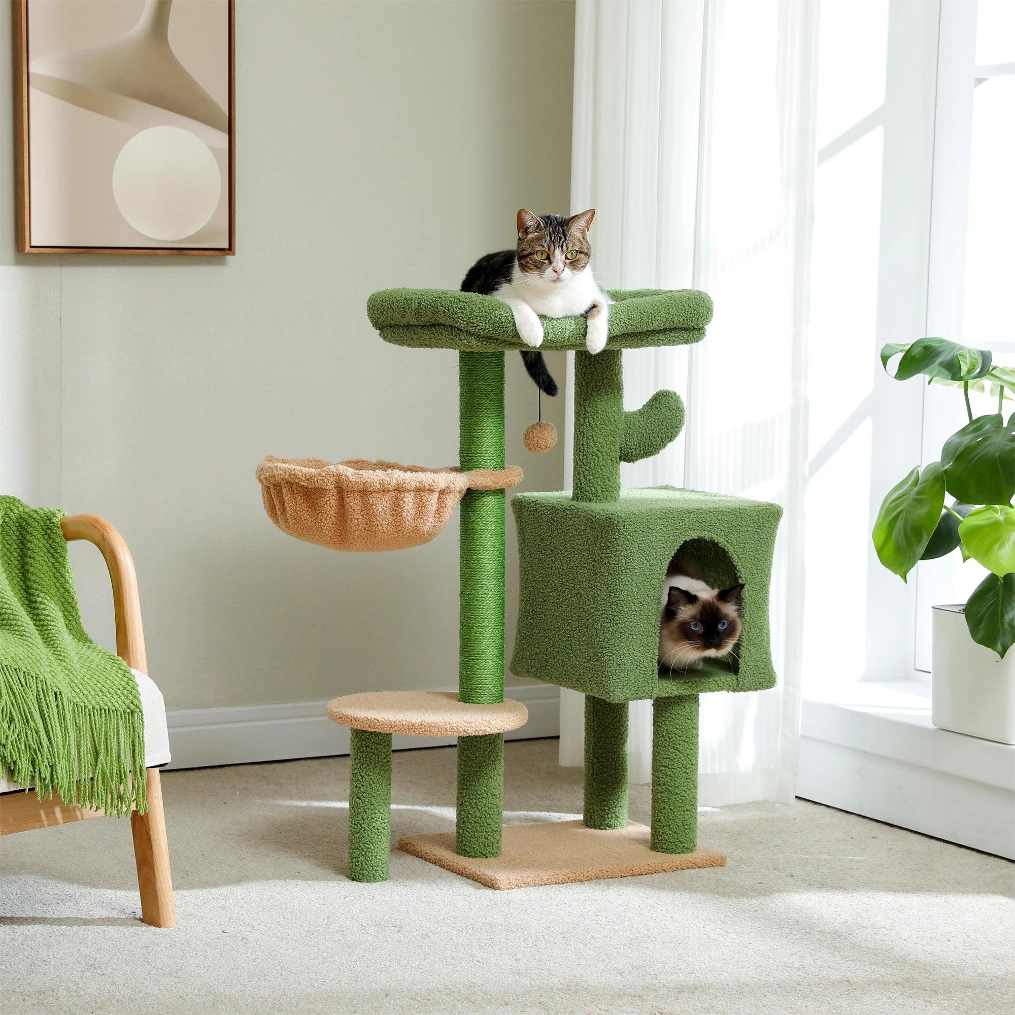 Cactus Pet Tree with Condo Hammock